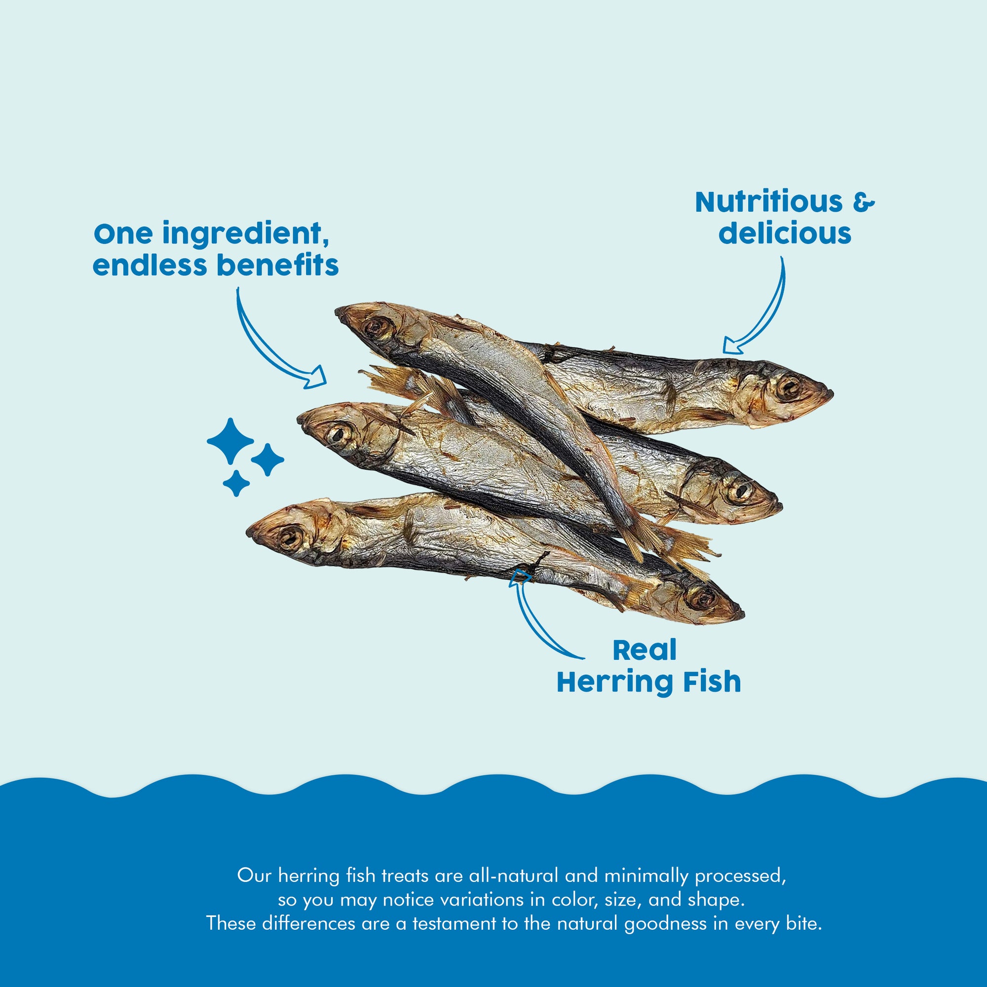 Air Dried Herring Fish