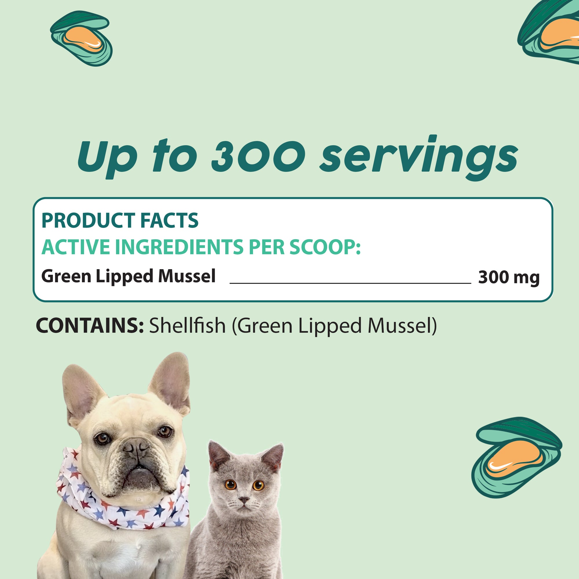 Green Lipped Mussels Powder