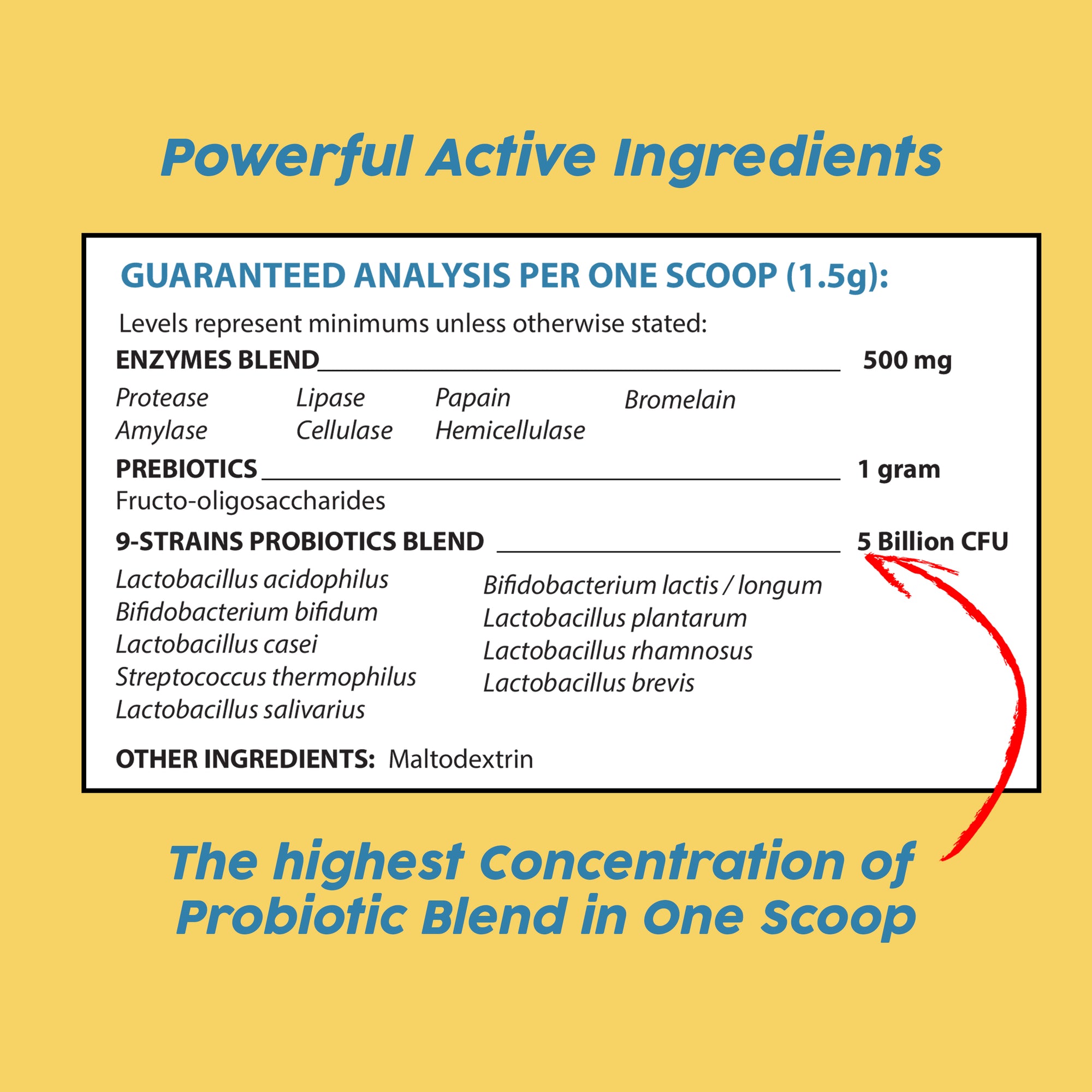 Probiotics, Prebiotics, and Digestive Enzymes